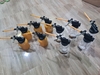 binh-xit-dau-bang-sat-250ml