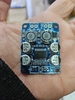module-am-thanh-mono-tpa3118-mono-1x60w-8-24vdc-r-4