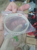 tro-dan-0603-120k-100-con