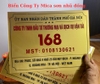 mau-bien-cong-ty-mica-nhu-dong
