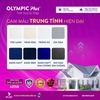 tam-lop-olympic-plus