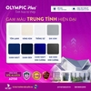 tam-lop-olympic-plus