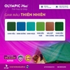 ton-cuon-ma-mau-olympic-plus