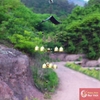 Chuông gió phong thủy 8 quả chuông - Loại 8 thanh ( 8 ống ) - LPCGD05