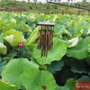 Chuông gió phong thủy hợp kim nhôm