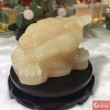 Thiềm thừ ngọc hoàng long