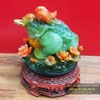 Thiềm thừ xanh