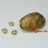 Mai rùa đồng gieo quẻ 8.5x6.5x2.5cm - 150g