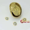 Mai rùa đồng gieo quẻ 8.5x6.5x2.5cm - 150g