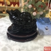 Thiềm thừ tiêu ngọc đen