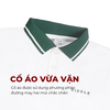 H7-T7 Áo polo Hiddle sọc trắng xanh sang trọng