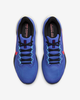 Nike Pegasus 41-FD2722-401-Giày chạy nam