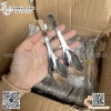 Thìa súp inox, thìa phở cán cong màu trắng,muỗng súp inox 304 cao cấp