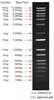1Kb Plus DNA Ladder, Ready-to-use