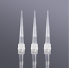 Đầu côn (Pipette Tips), hãng Biosharp