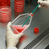 Chai nuôi cấy tế bào (Cell Culture Flasks), hãng LabSelect