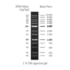 Thang DNA (DNA Ladders) Hãng Cleaver Scientific