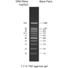 Thang DNA (DNA Ladders) Hãng Cleaver Scientific