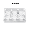 Đĩa nuôi cấy xử lý Poly-D-Lysine (Cell Culture Plate), hãng LabSelect