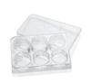 Đĩa nuôi cấy tế bào (Cell Culture Plates), hãng LabSelect-China