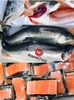 Cá hồi Nauy Fillet