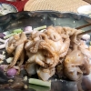 Củ kiệu
