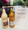 Gội xả Tacavy Collagen