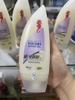 Sữa tắm cá ngựa