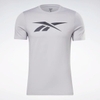 ao-reebok-nam-chinh-hang-graphic-series-vector-xam-japansport-hs4900