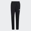 quan-adidas-nam-chinh-hang-z-n-e-sportswear-den-japansport-gt9781