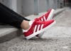 giay-adidas-chinh-hang-gazelle-do-do-japansport-s76228