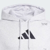 ao-khoac-adidas-chinh-hang-sports-hoodie-xam-japansport-is7104