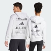ao-khoac-adidas-chinh-hang-sports-hoodie-xam-japansport-is7104