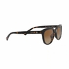 kinh-coach-chinh-hang-0hc8285u-512013-56mm-japansport