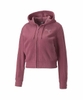 ao-hoodie-puma-chinh-hang-hoodie-winterized-hong-japansport-672349-45