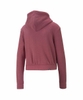 ao-hoodie-puma-chinh-hang-hoodie-winterized-hong-japansport-672349-45