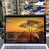 da-qua-su-dung-hp-elite-x2-1013-g3-core-i5-8350u-ram-8gb-ssd-256gb-lte-den-japan