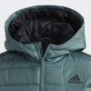 ao-khoac-adidas-chinh-hang-puffer-jacket-kids-xanh-japansport-ew6347