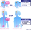 thuoc-giam-dau-tri-cam-cum-ha-sot-eve-a-nhat-ban-japansport