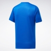 ao-reebok-chinh-hang-workout-ready-polyester-tech-xanh-japansport-fp9095