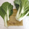 Hạt giống cải thìa trắng pak choi Thái Lan