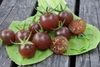 Hạt giống cà chua cherry đen Nga