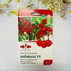 Hạt giống ớt Habanero đỏ F1 Thái Lan