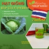 Hạt giống bắp cải F1 Hybrid Thái Lan (Lon 50 gr)