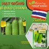 Hạt giống bí đao chanh Thái Lan