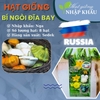 Hạt giống bí ngòi đĩa bay Nga