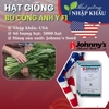 Hạt giống bồ công anh Italia F1 Johnny's