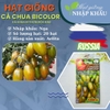 Hạt giống cà chua Bicolor Nga