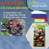 Hạt giống cà chua múi đen Nga