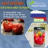 Hạt giống cà chua múi lê Puds Nga